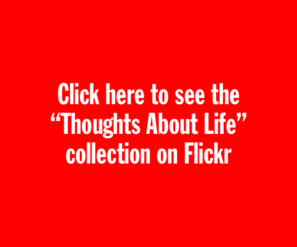 Visit the 