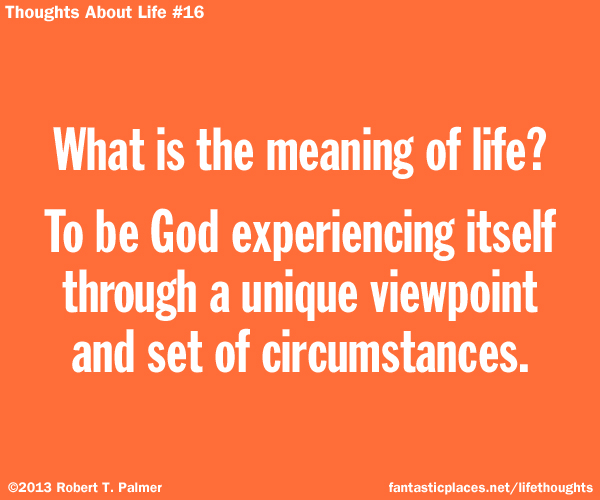 What is the meaning of life? To be God experiencing itself through a unique viewpoint and set of circumstances.