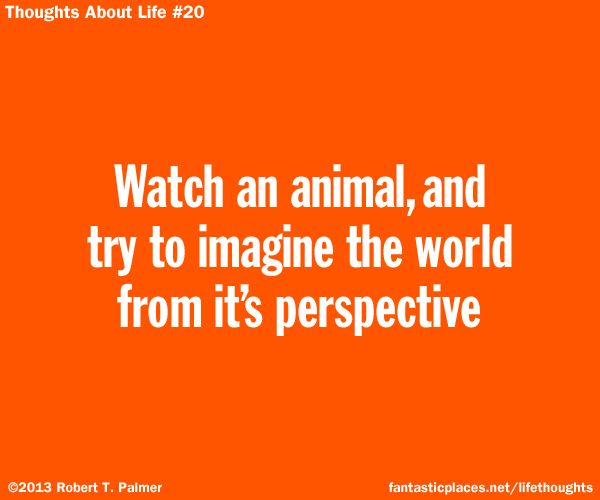 Watch an animal, and try to image the world from it's perspective