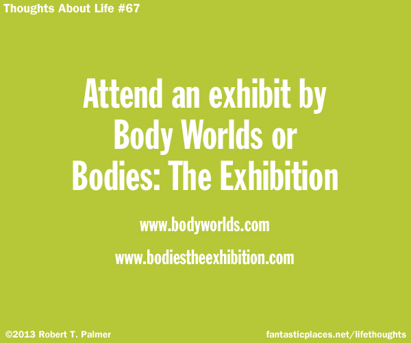 Attend an exhibit by Body Worlds or Bodies: The Exhibition