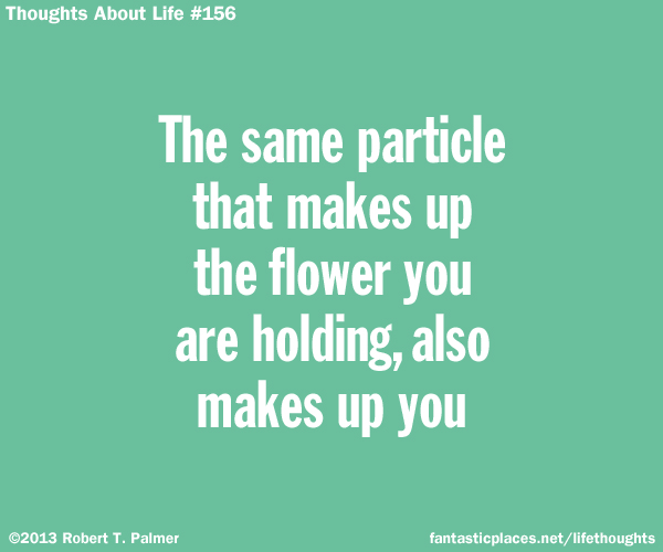 The same particle that makes up the flower you are holding, also makes up you