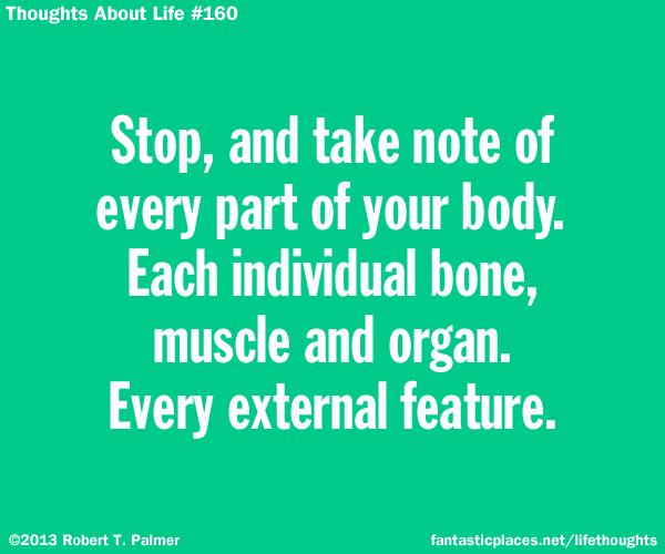 Stop, and take note of every part of your body. Each individual bone, muscle and organ. Every external feature.