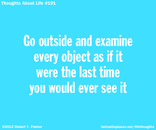 Go outside and examine every object as if it were the last time you would ever see it
