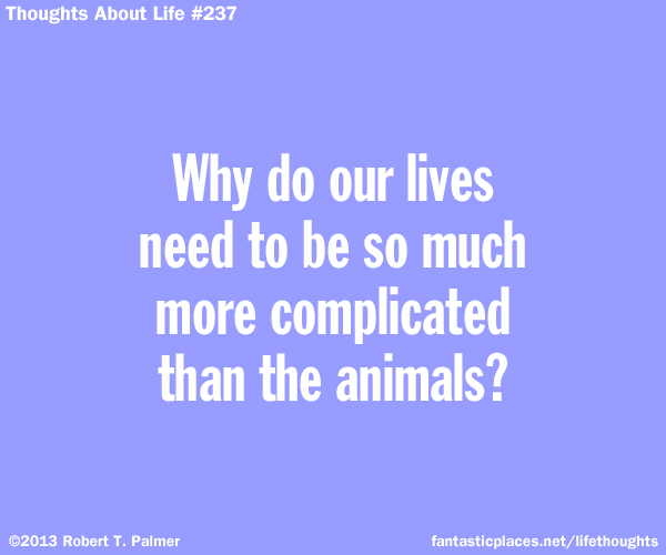 Why do our lives need to be so much more complicated than the animals?