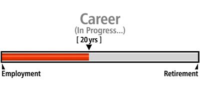 Progress Bar Career 20